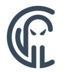 Critical Insight logo
